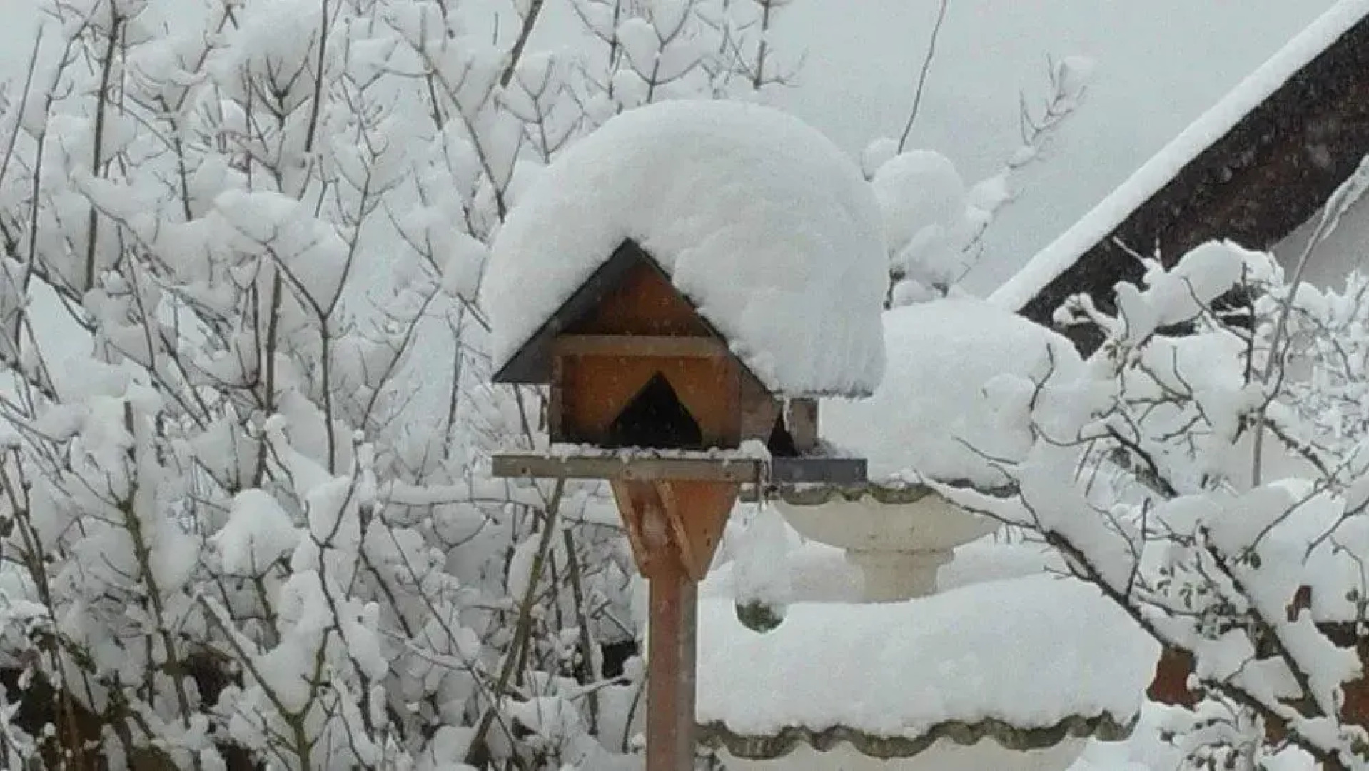 Gasthof zur grossen Linde