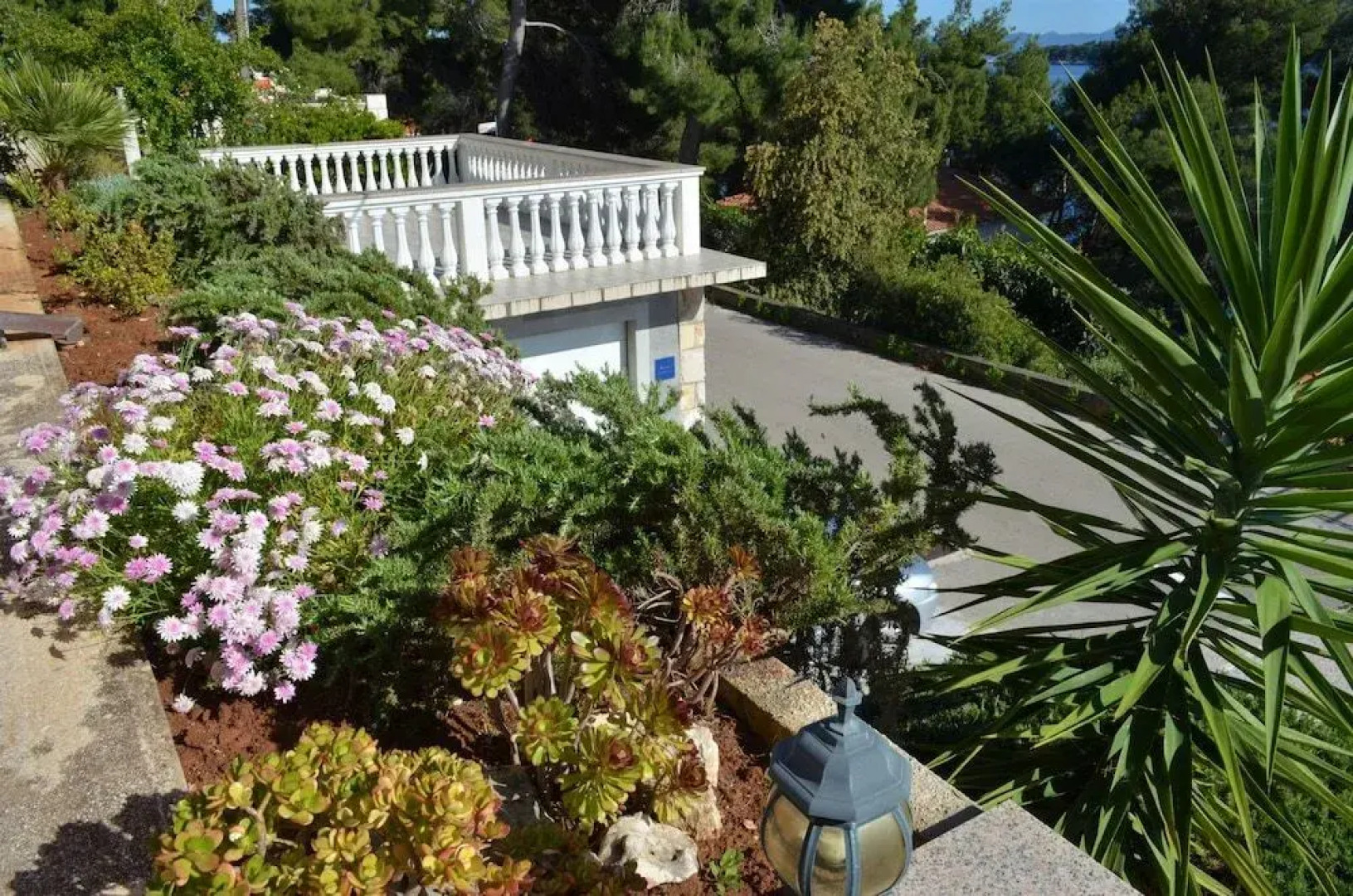 Apartment Sunny Side