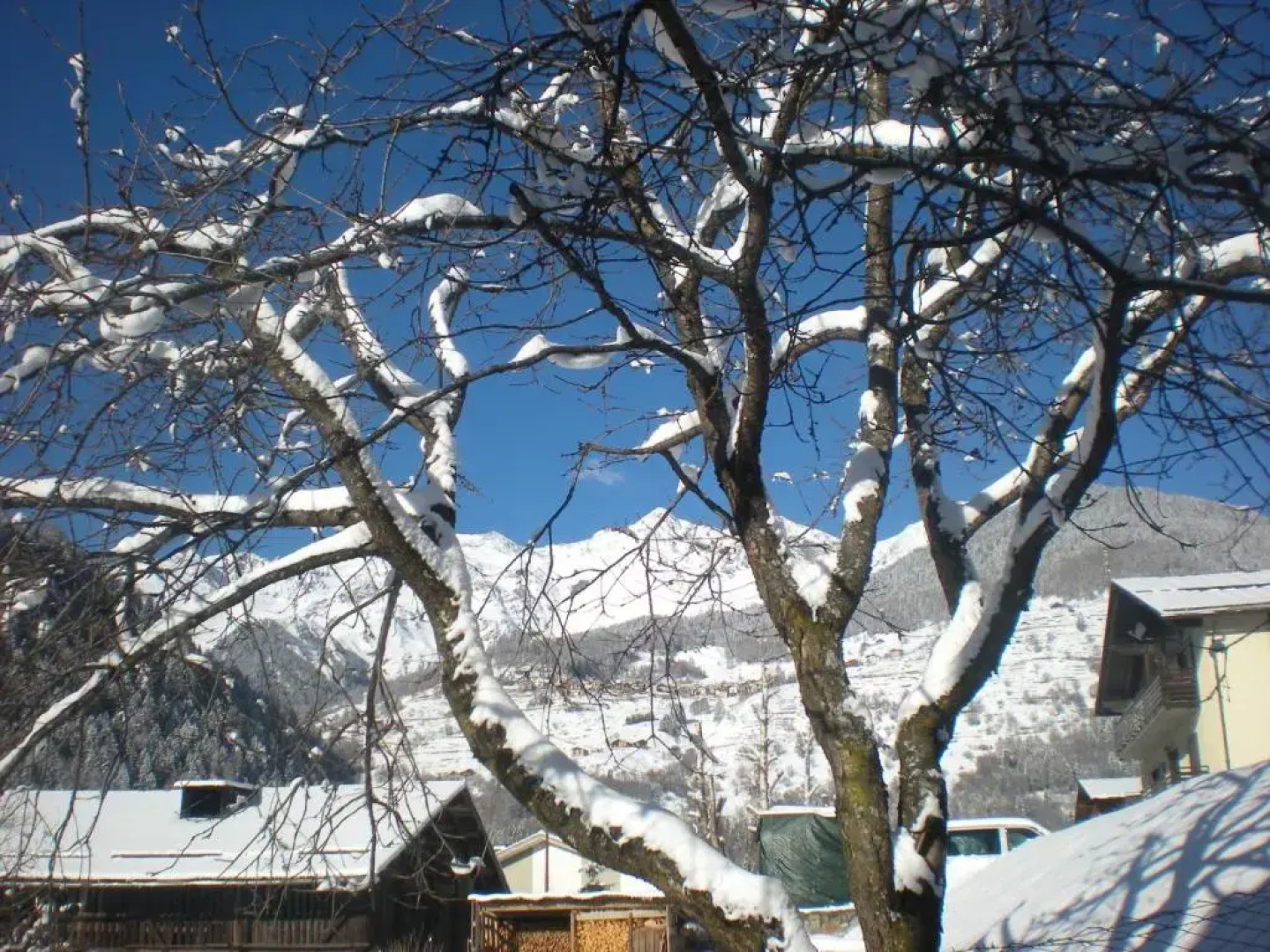 Appartamenti Pegolotti