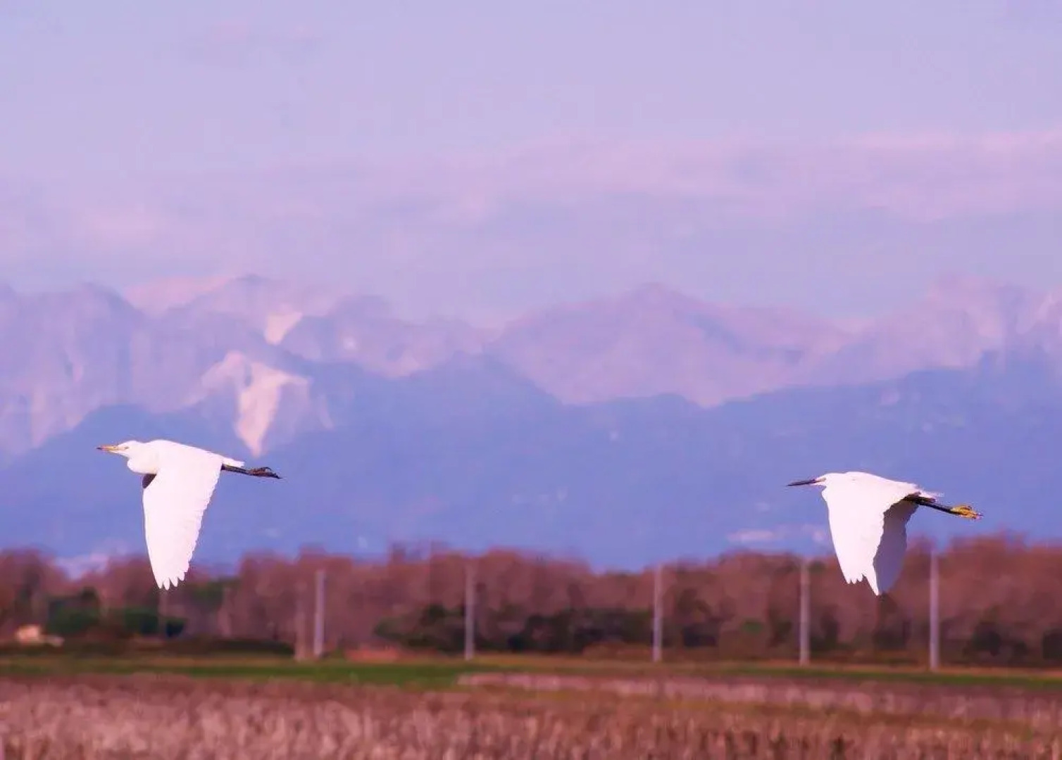 La Fattoria di Tirrenia