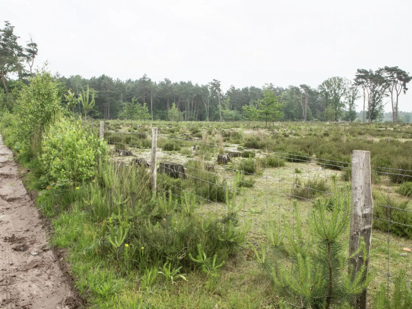 Luxurious Chalet in Oud-Turnhout with Large Garden