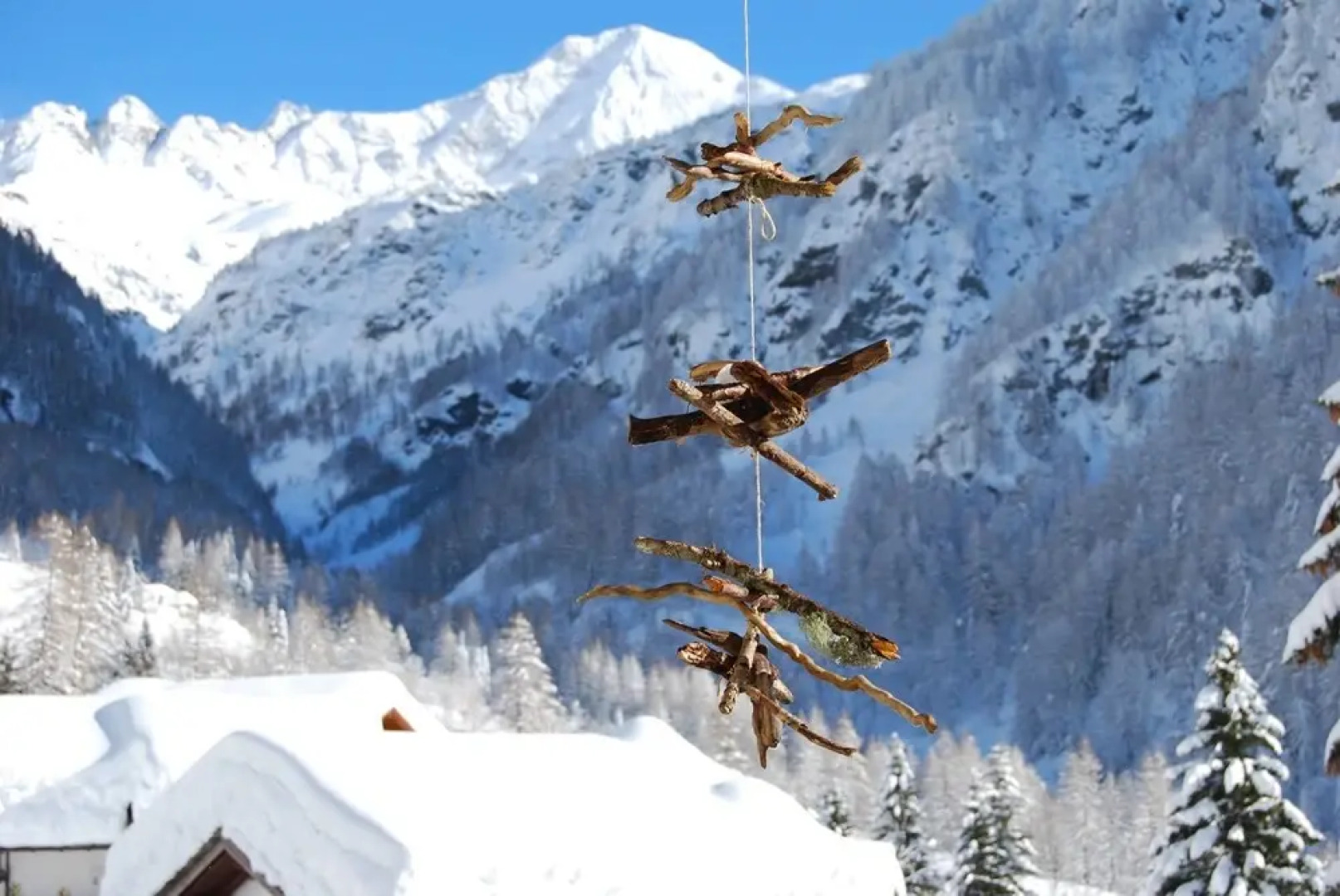 Residence Larice Bianco