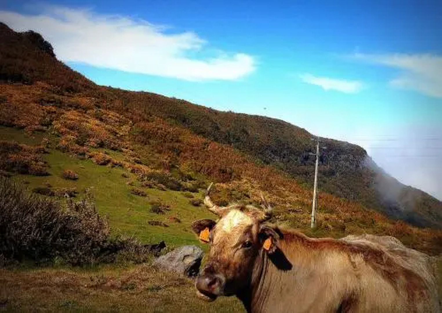Madeira Sunset Cottage