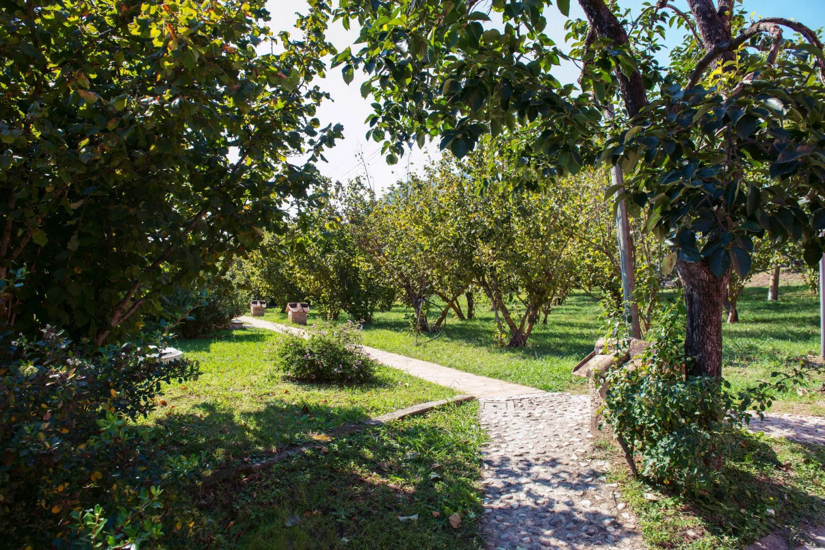 Hotel Villa Rizzo Resort & Spa