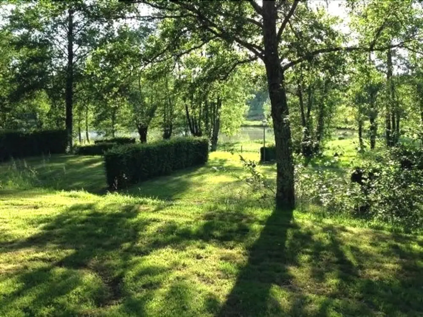 Aloe Camping Mepillat