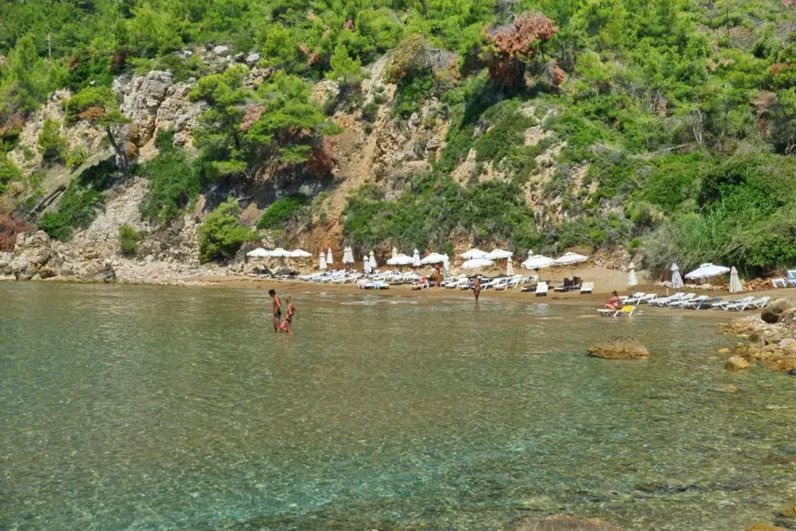 Alonissos Beach Bungalows & Suites Hotel
