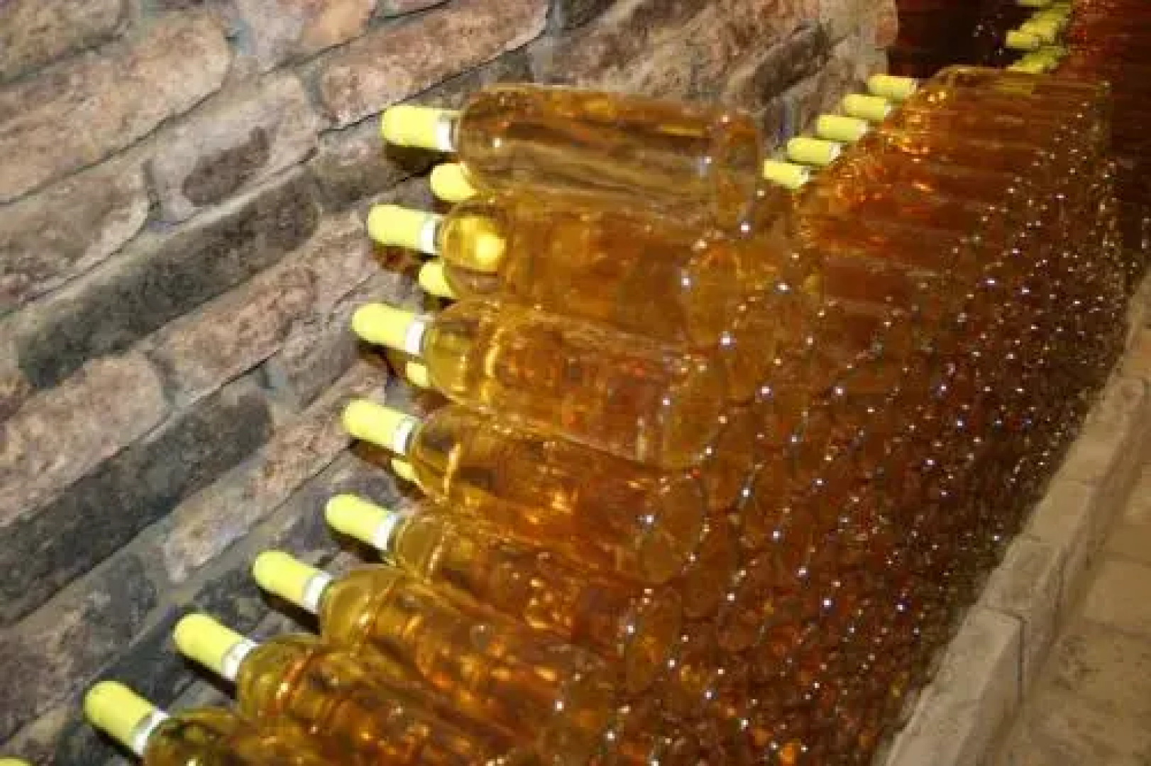 Pincelakat Borház és Szálloda