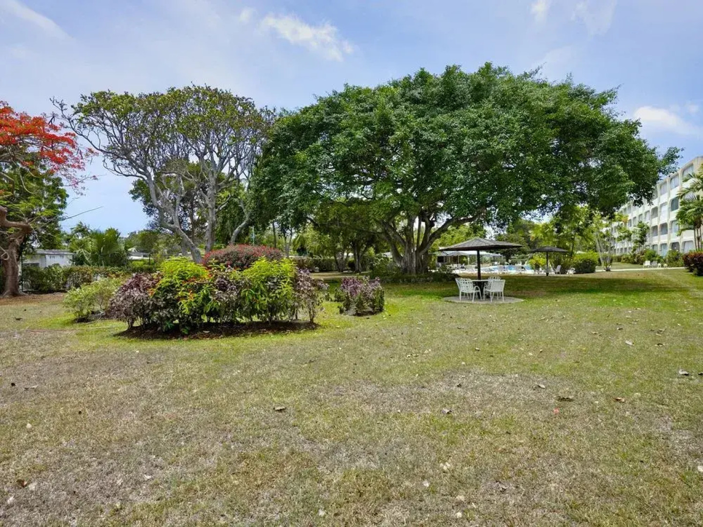 Best Luxury Spot - Holetown