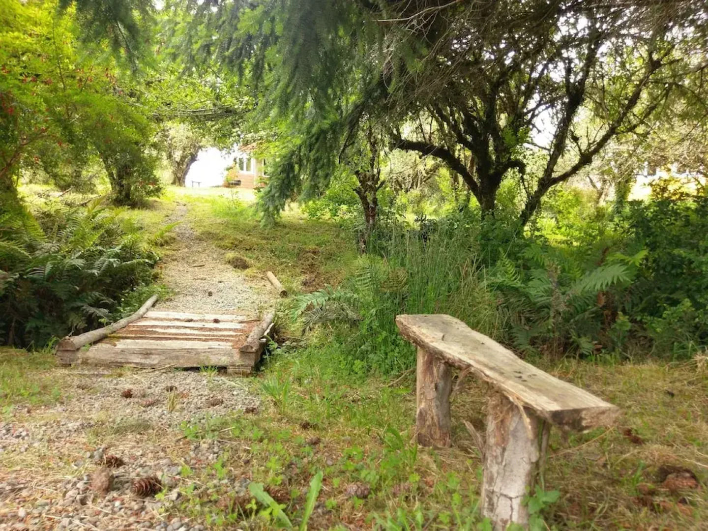 Ecoturismo Los Manzanos