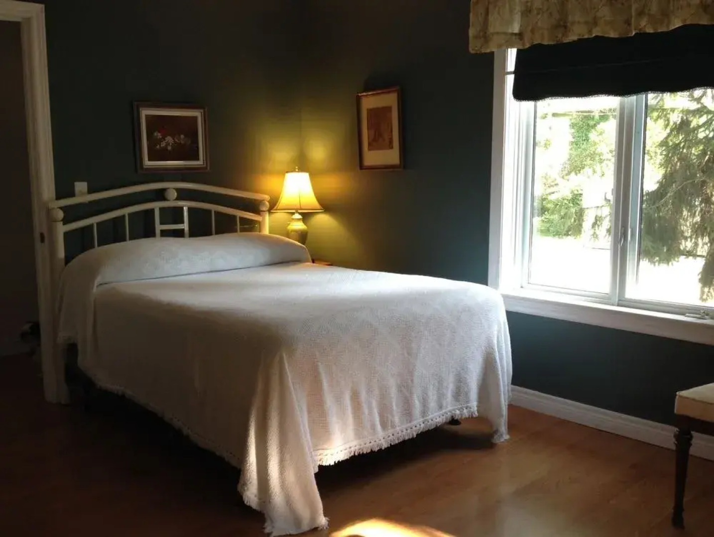 Blue Butterfly Bed and Breakfast