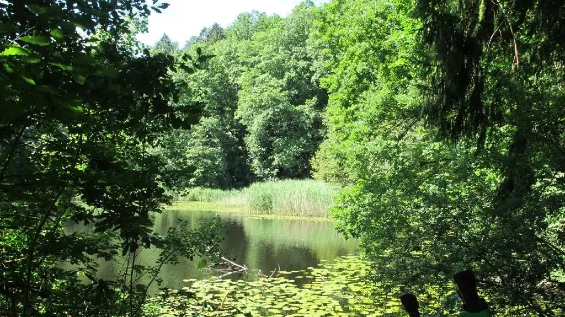 Ferienwohnung Fasse (Adults Only)