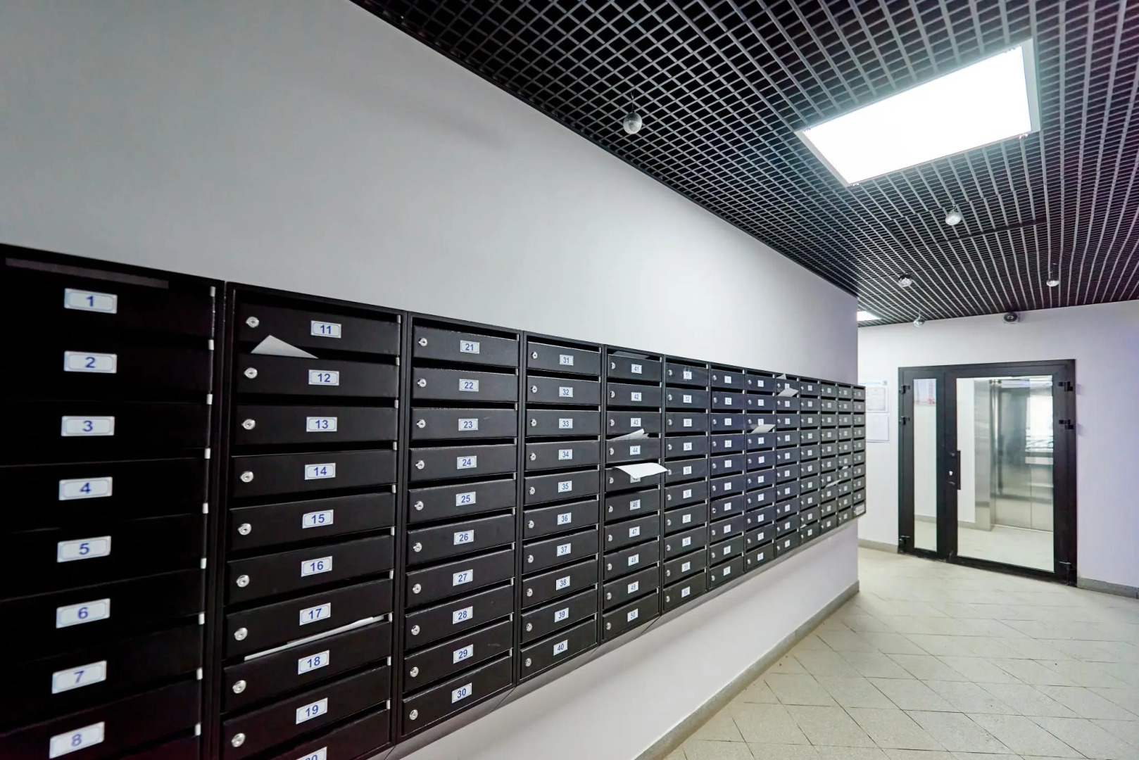 SutkiVIP (СуткиВИП)  на улице Бородина