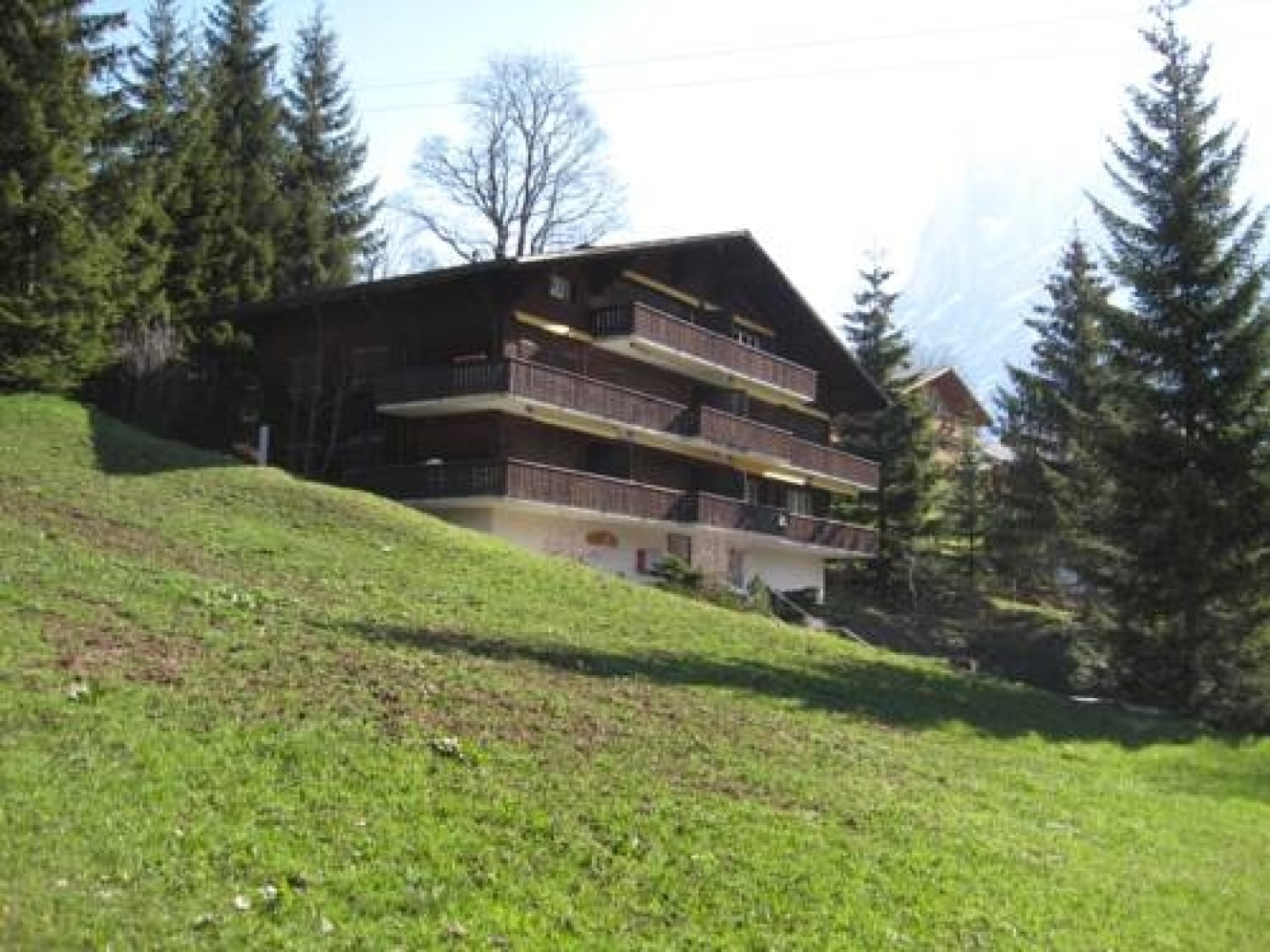 Apartment Chalet Bodmisonne