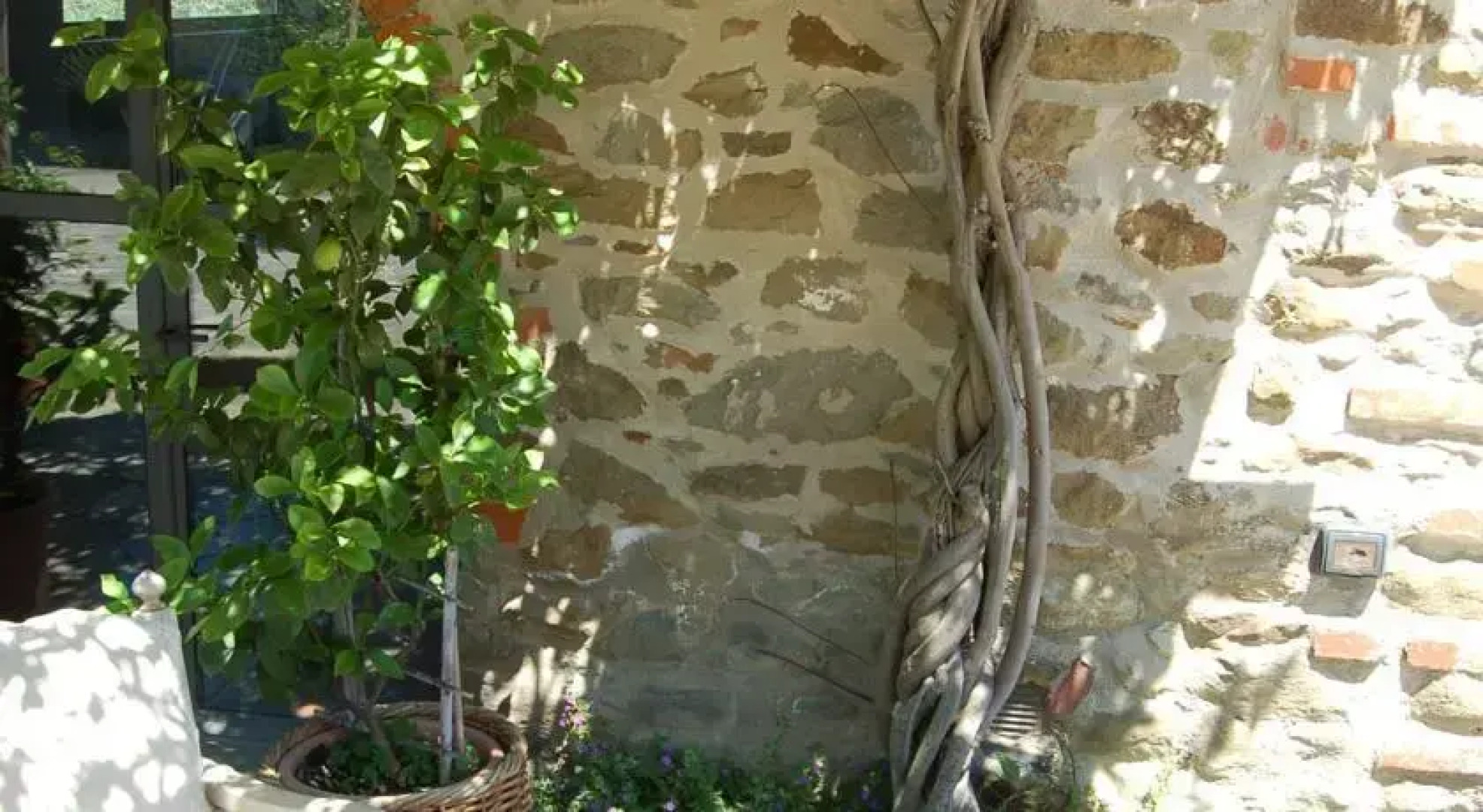 La Casuccia - Donnini