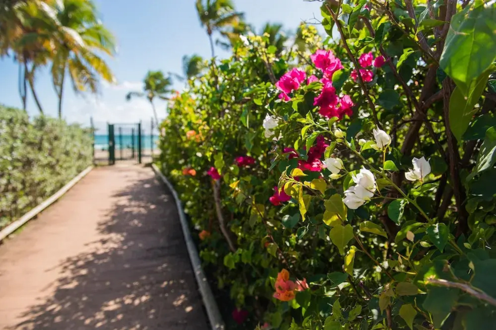 Studios Titine et Citronnade