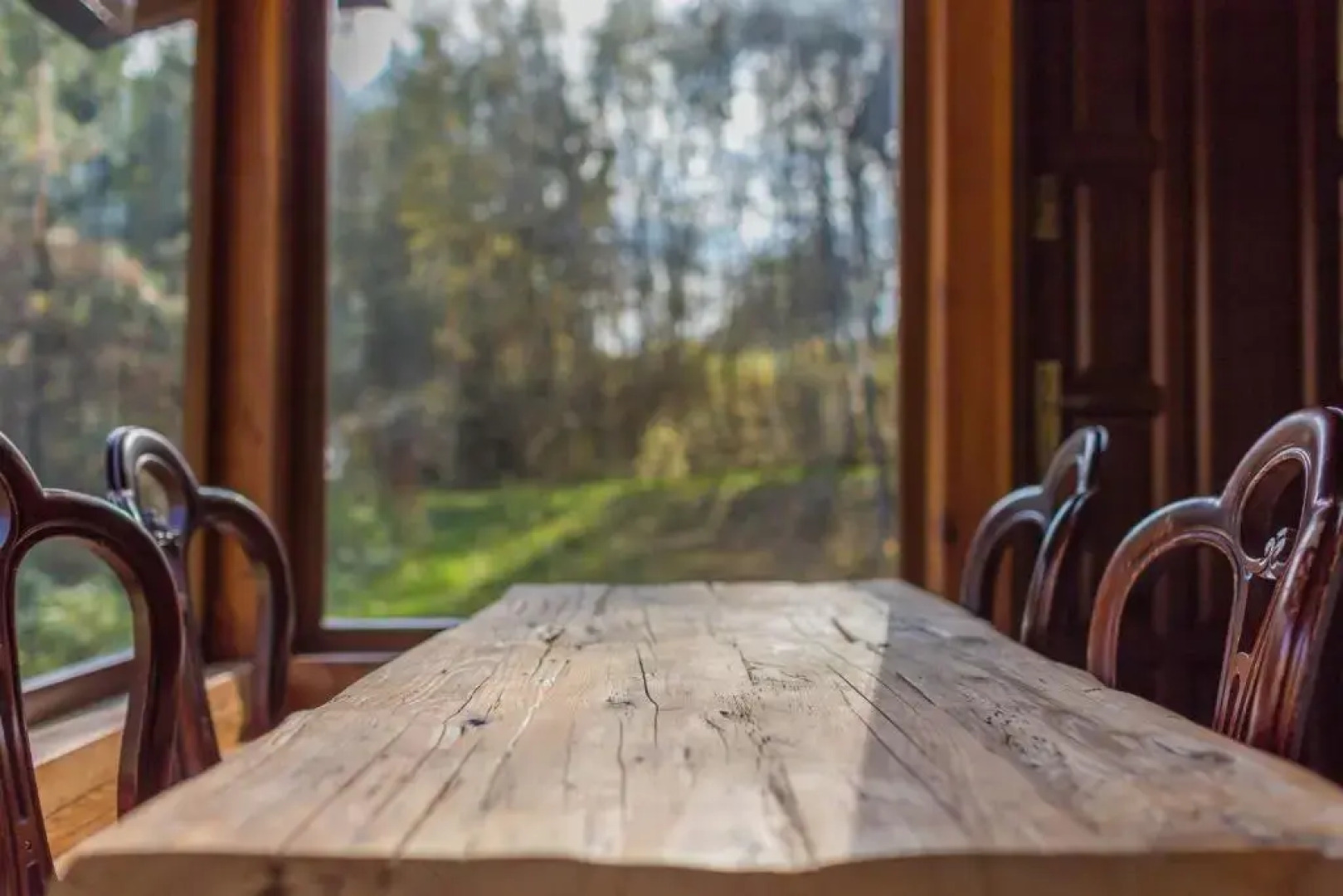 Wypoczynek pod Lipą