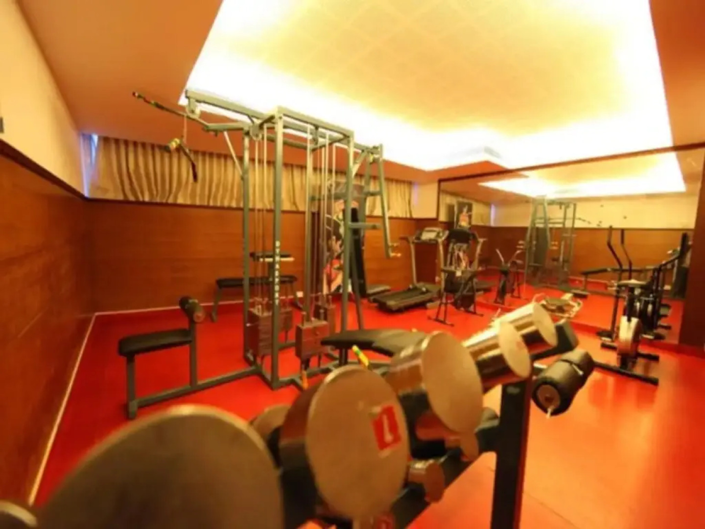 White Dammar International