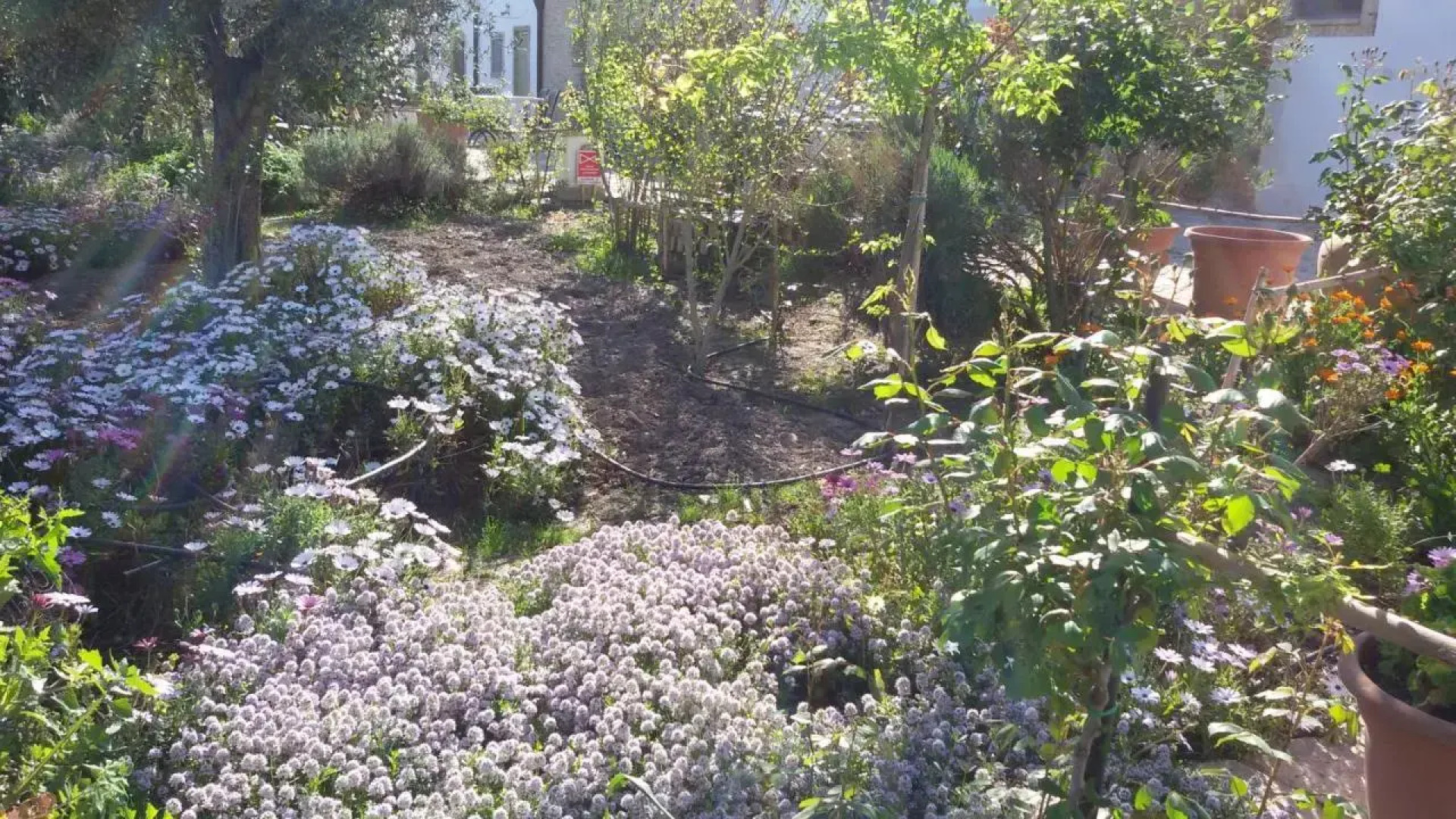 Masseria Celentano Relais & Agriturismo