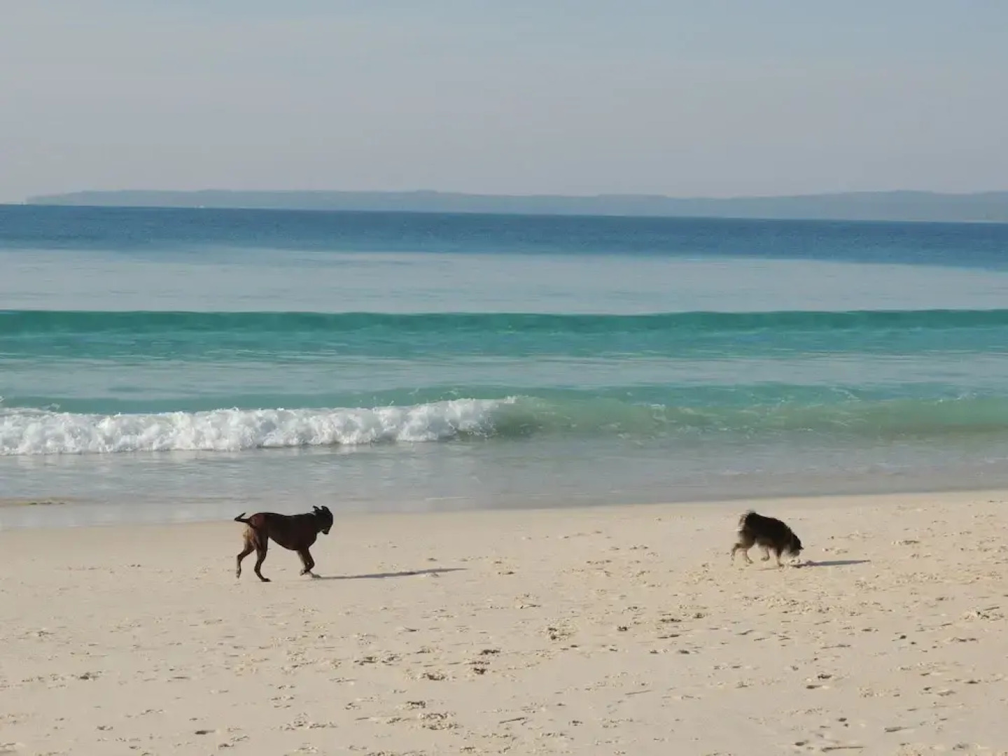 Paradise Bungalow Waterfront