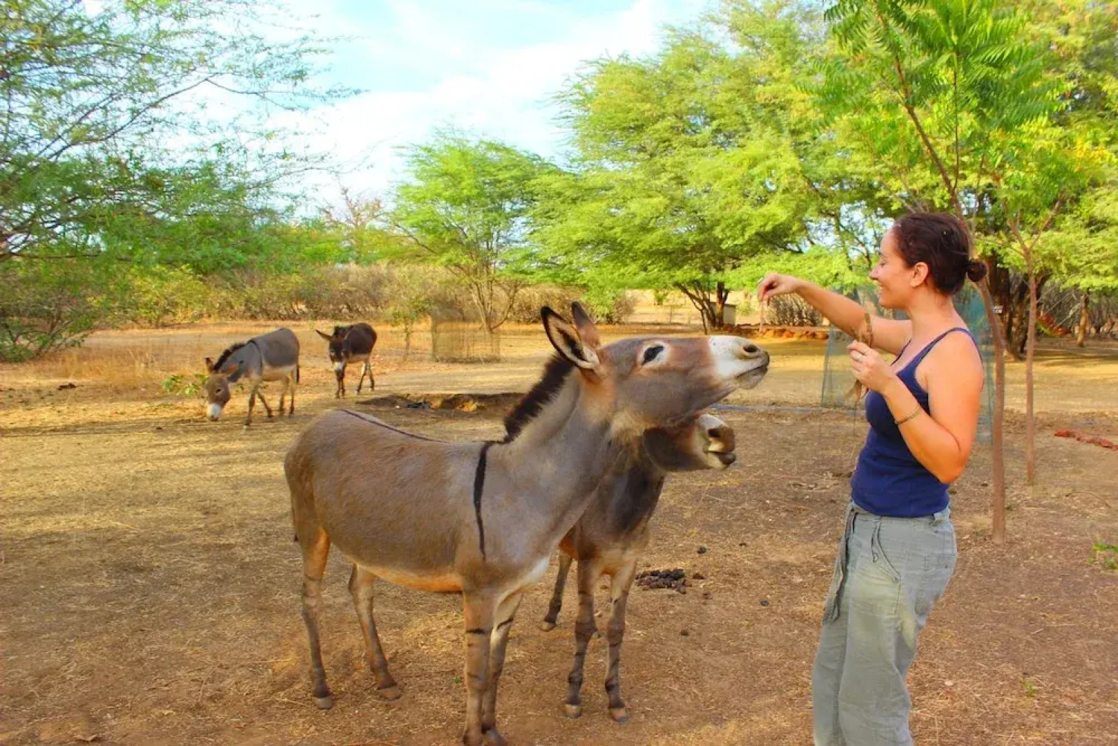 Le Lodge Dalaal Diam