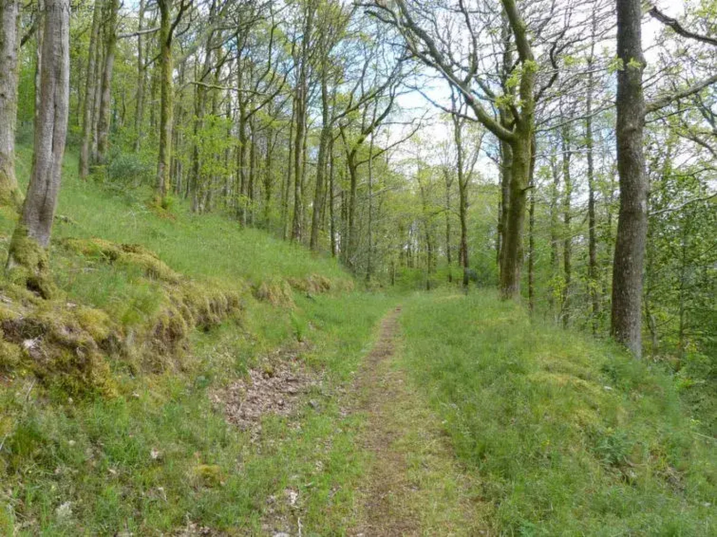 Holiday Home Y Barcud Coch