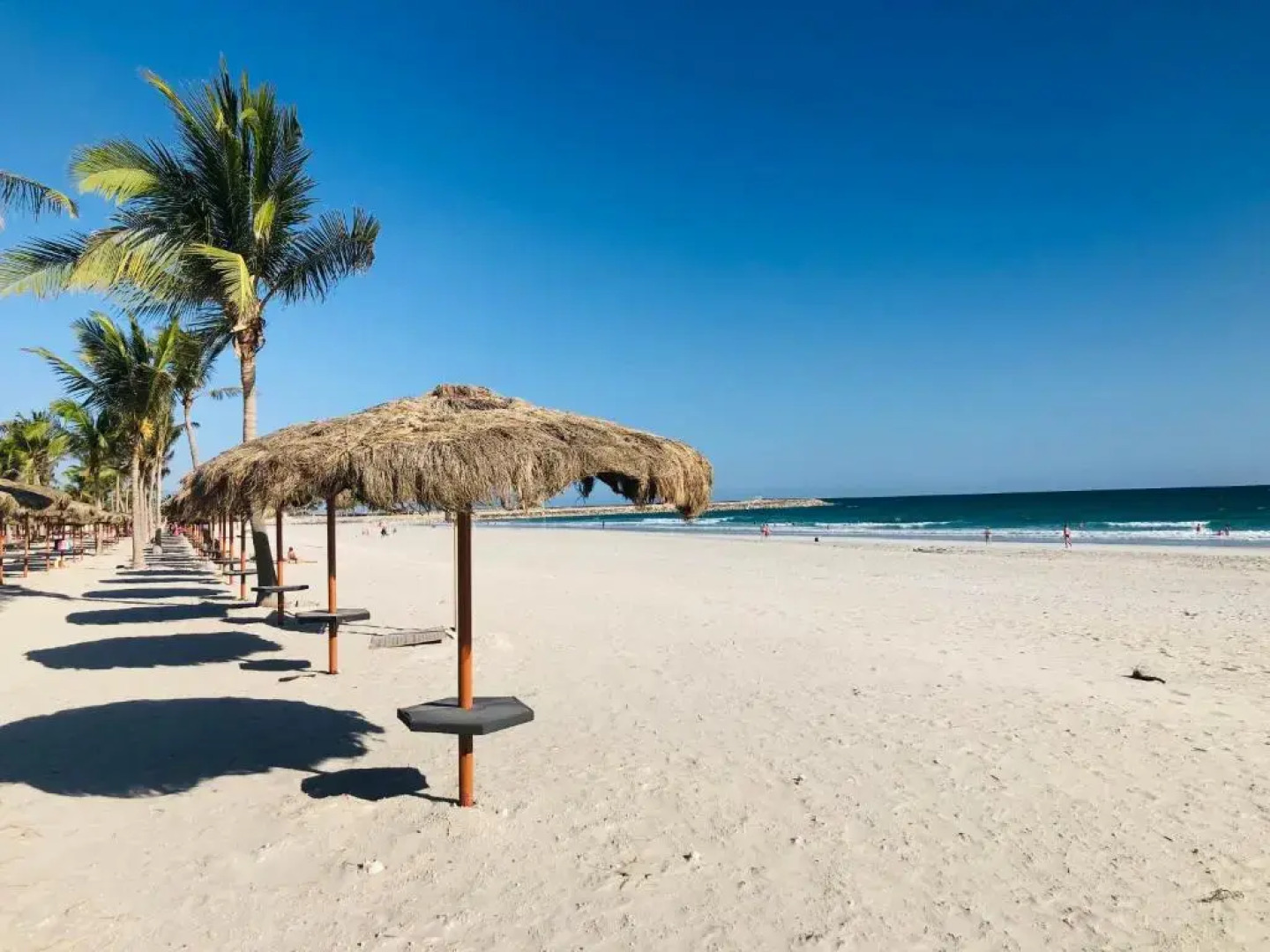 NEW 1-Bedroom in Forest Island + Oceanside View