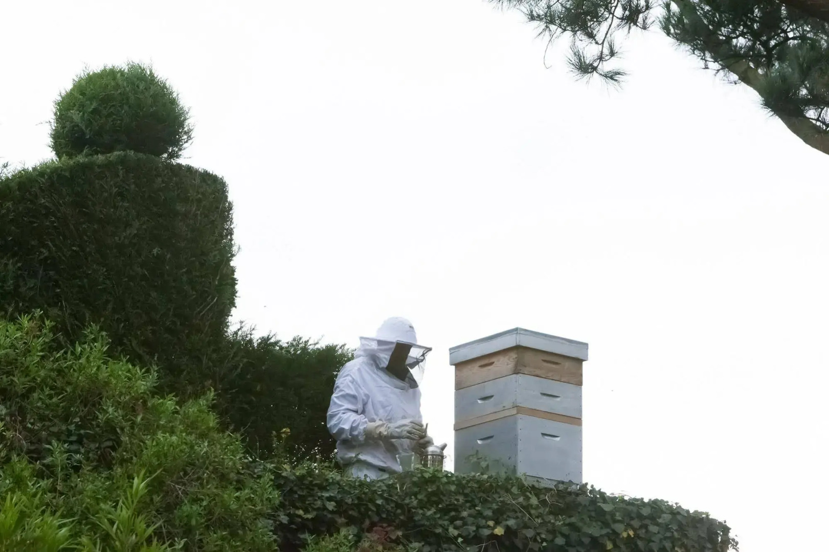 Château de La Ballue