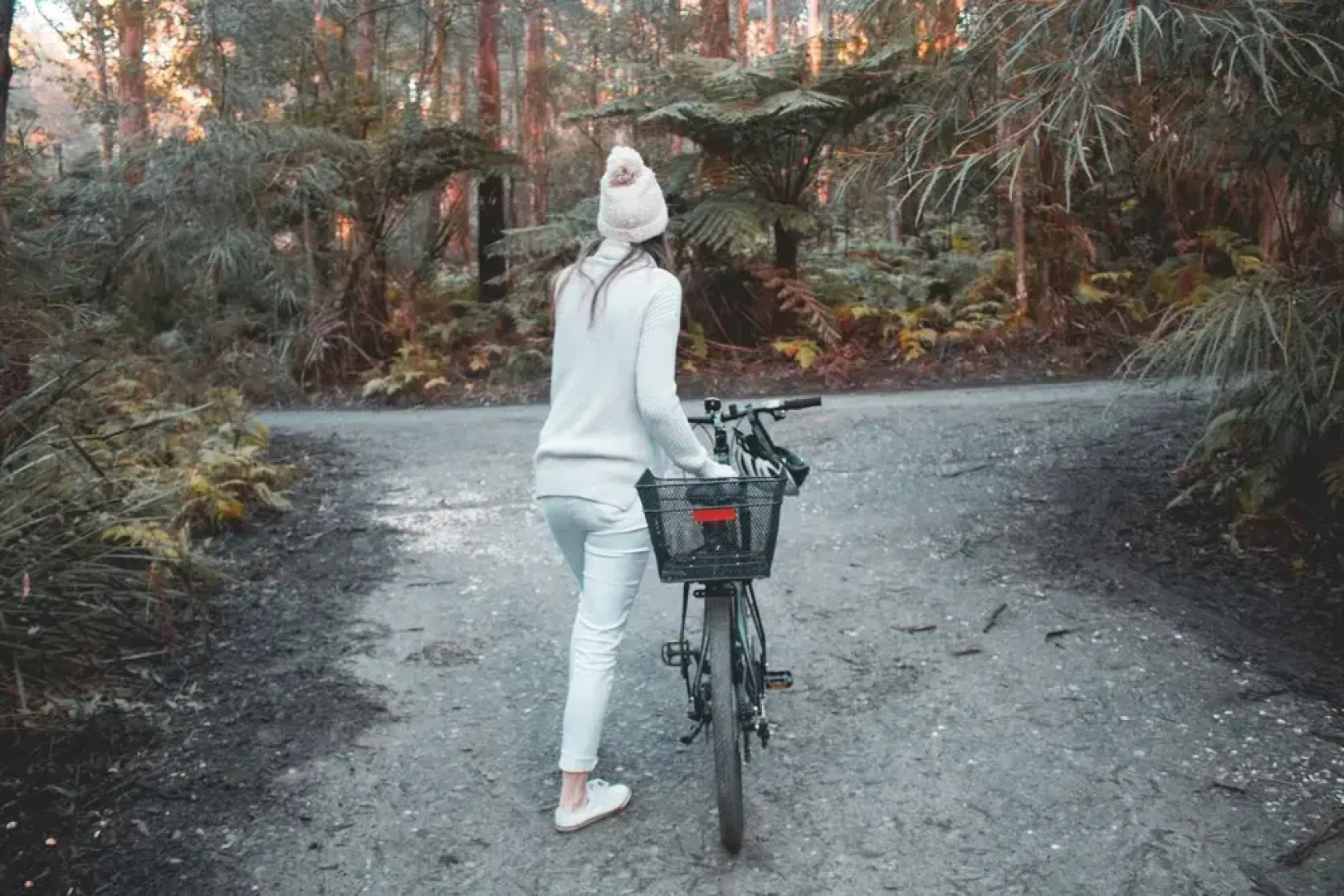 Woodlands Rainforest Retreat