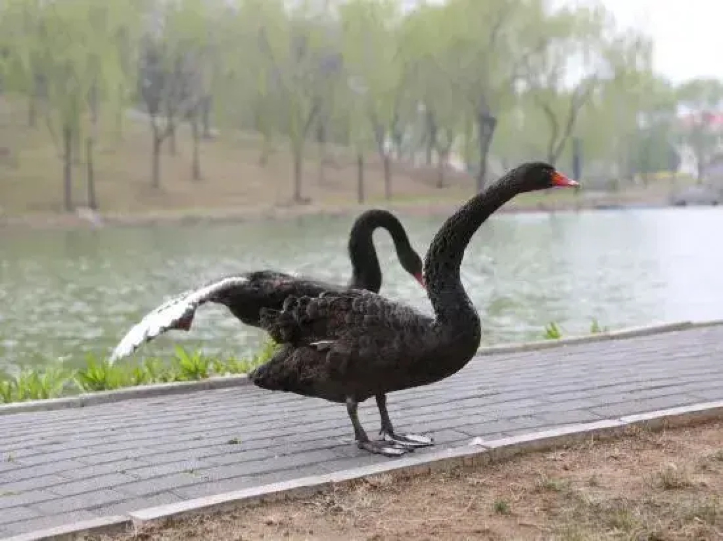HeBei Cuipingshan Guesthouse