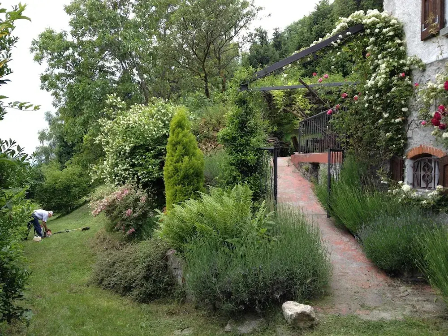 B&B Padò - Immersi nella natura