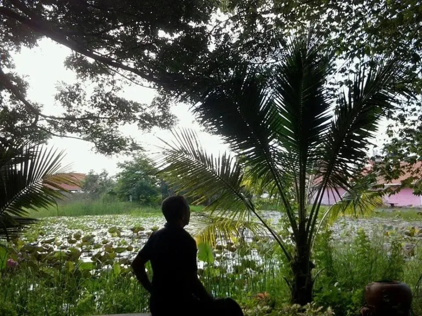 Pathuma Garden and Resort