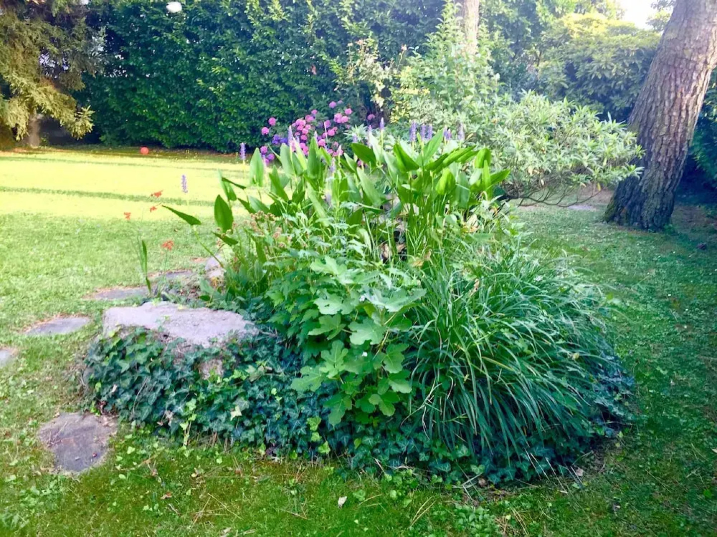 Luxury Apartments Villa Mary