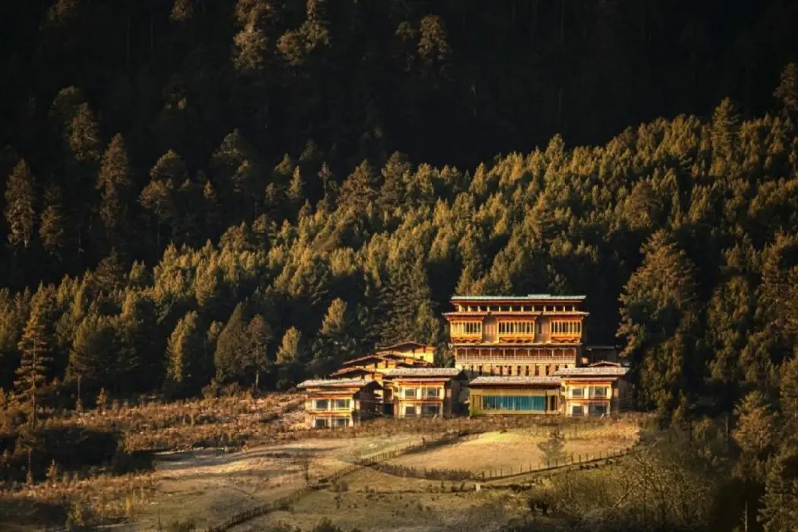 Taj Gangtey Resort And Spa