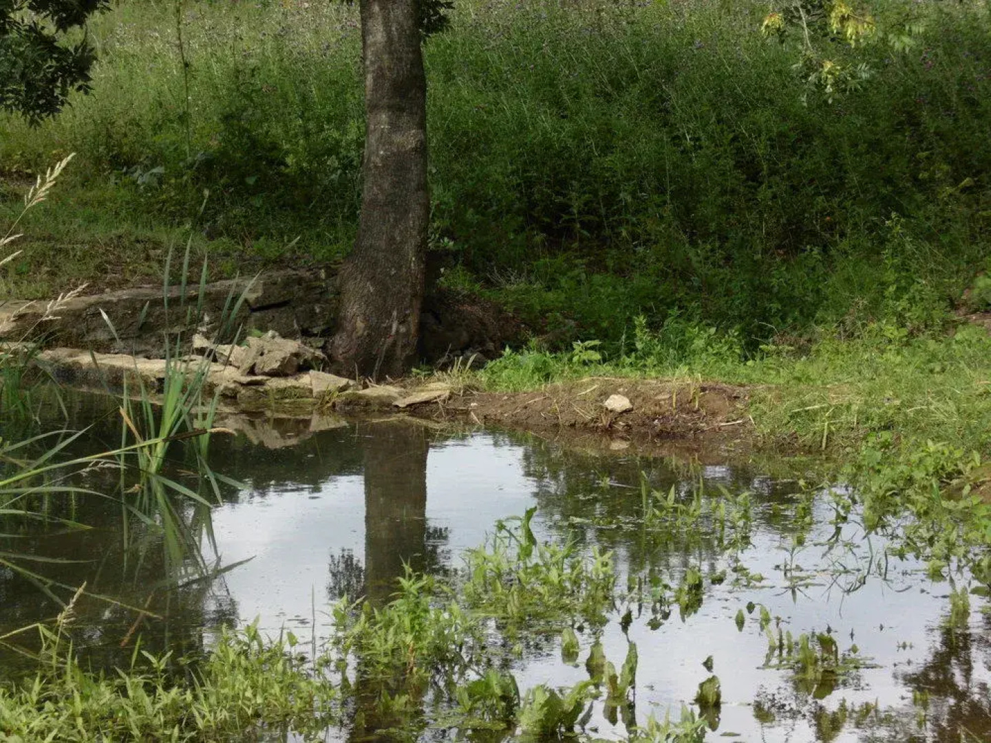 The House At Woolverton