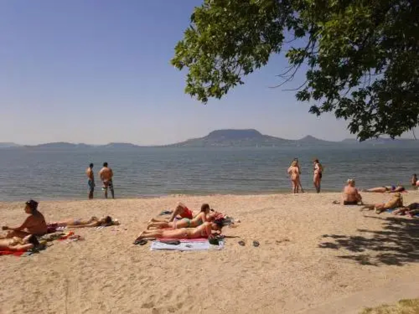 Kék Kuckó Vendégház