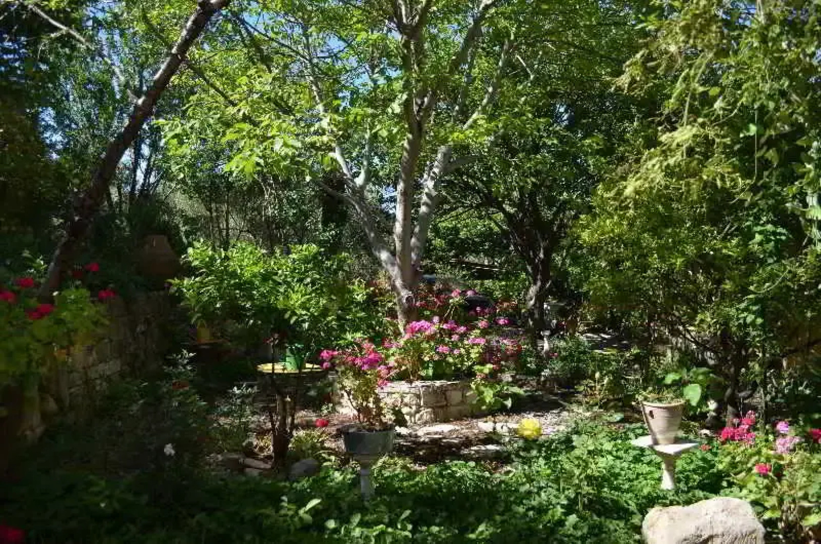 Viglatoras Traditionals Apartments