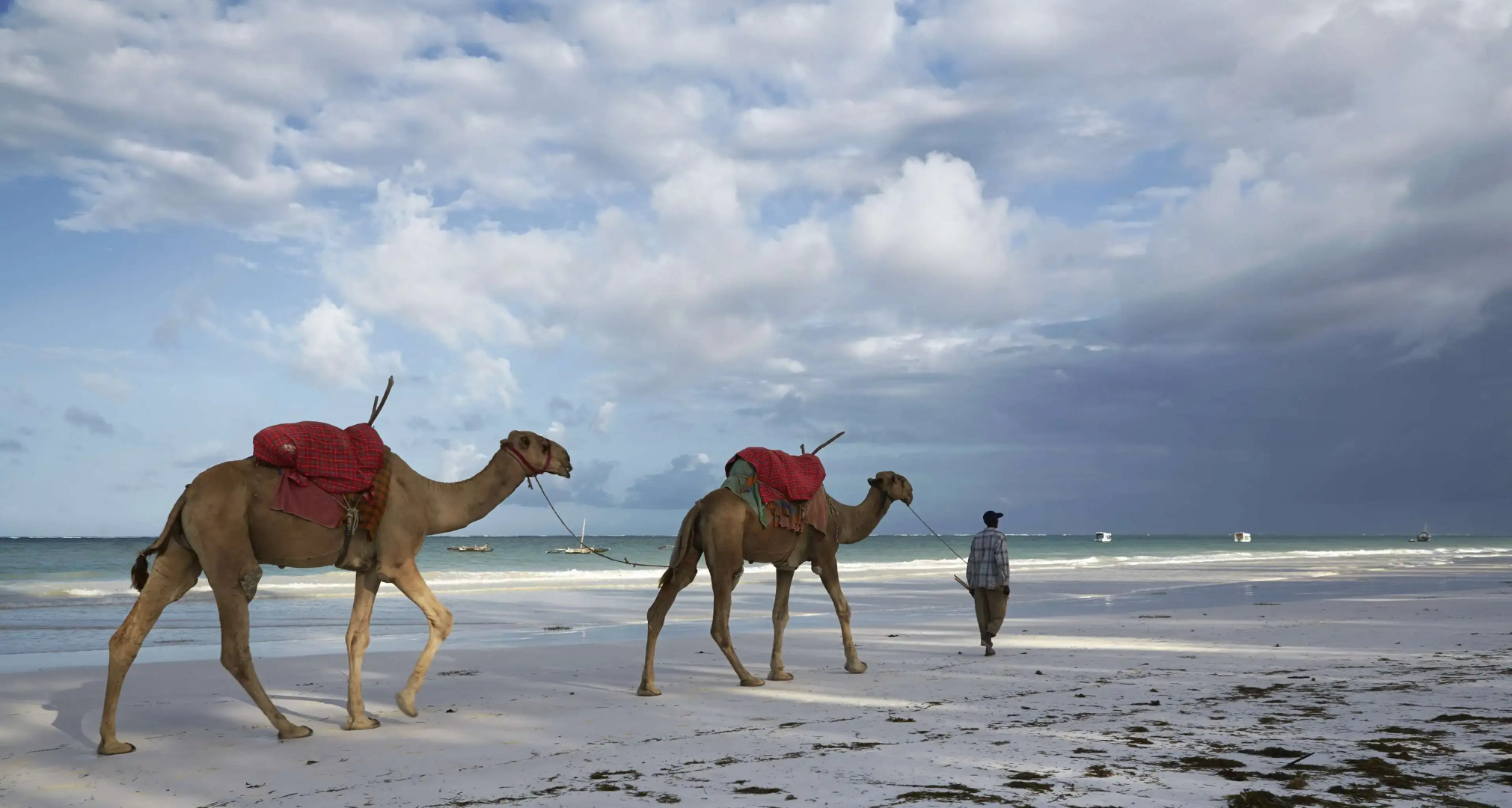 Neptune Village Beach Resort & Spa All Inclusive