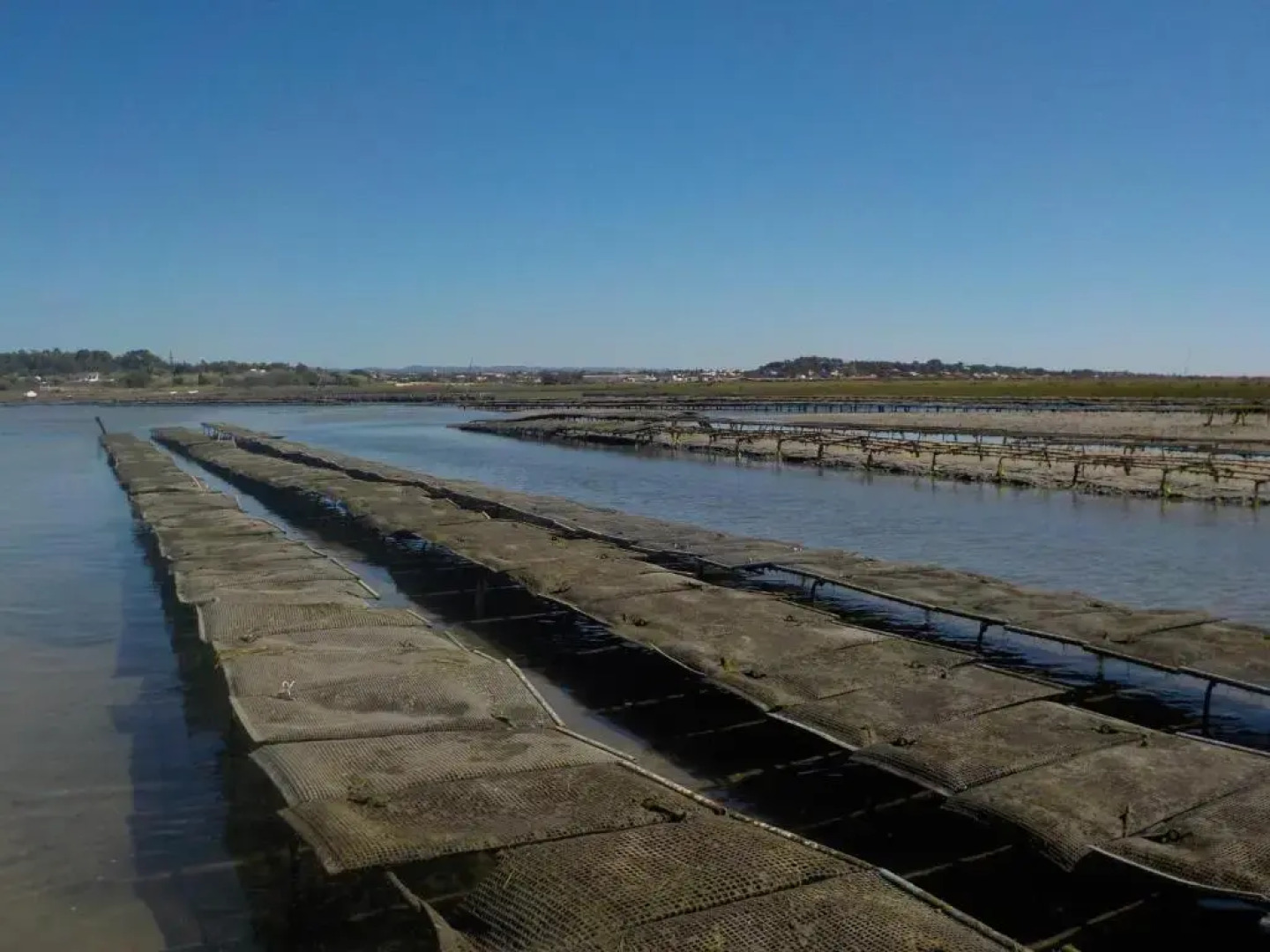 Villa Vista Mar Piscina Suites