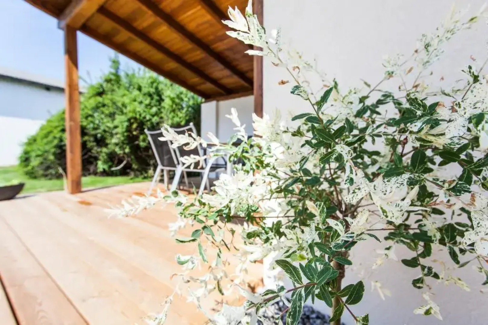 Zehentner - Wein & Feriendomizil