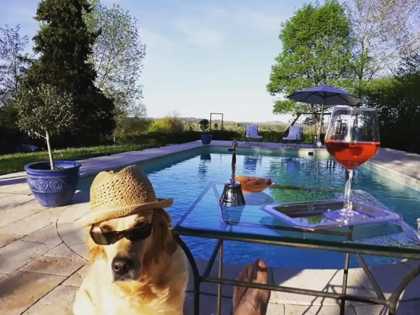 Chambres d'hôtes Au Merlot