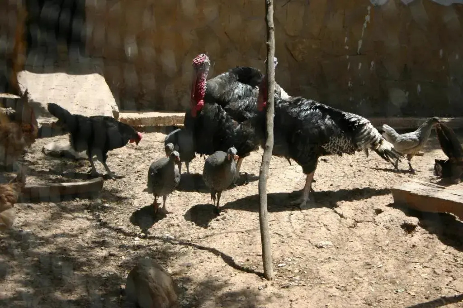 Casas Rurales La Loma Del Carrascal
