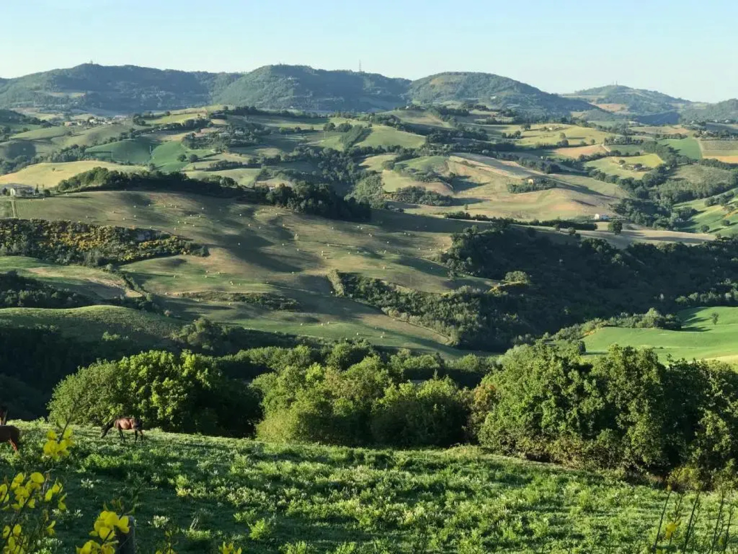 Agriturismo "Le Cannelle" spa & day wellness