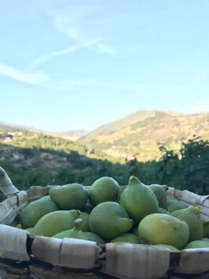 Private Douro- Quinta das Susandas