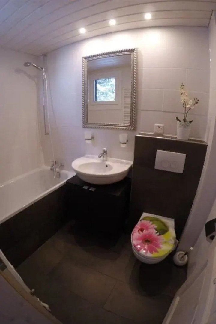 Ariel Saanen in Saanen