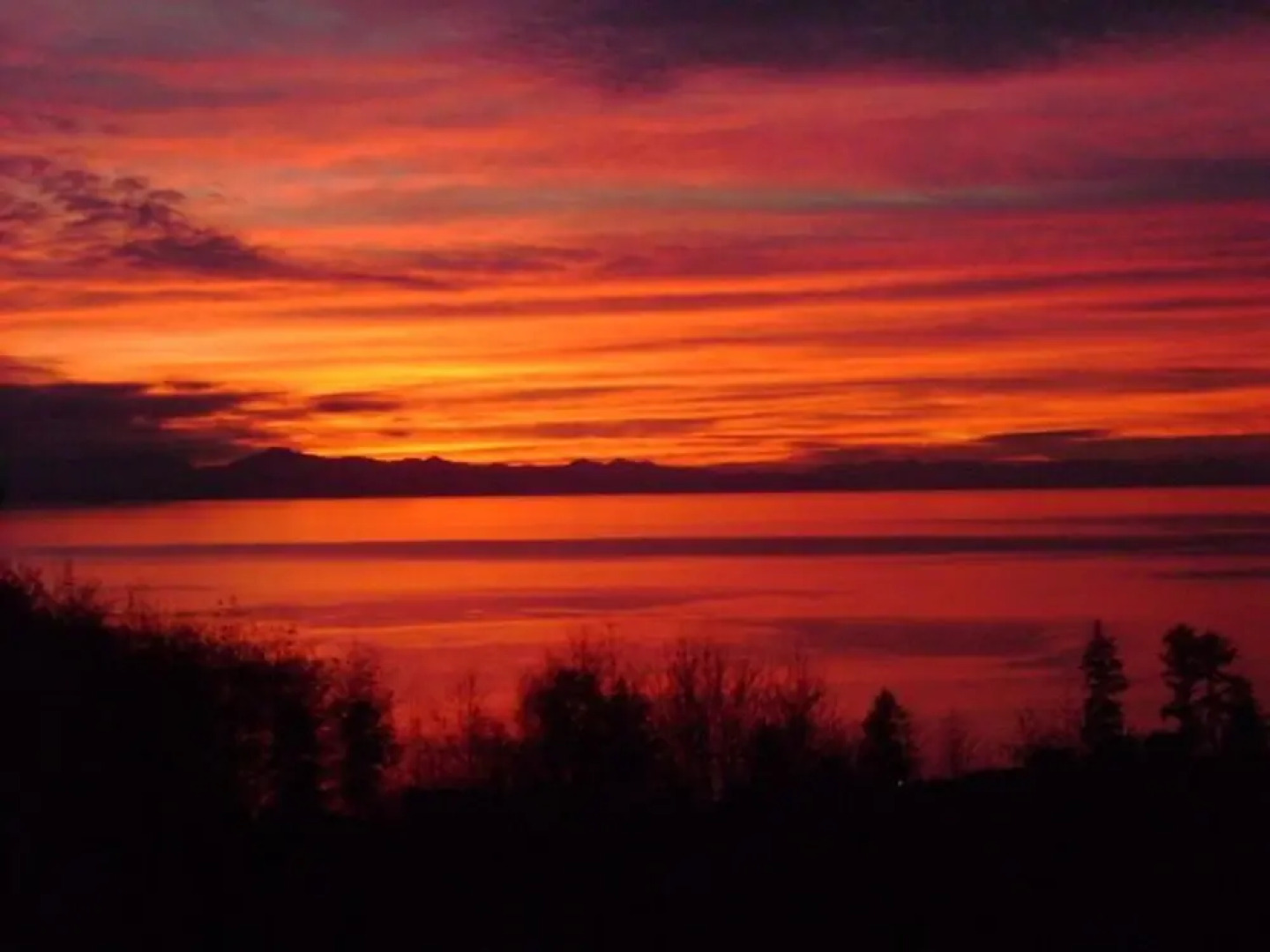 Straitview Ridge Bed & Breakfast