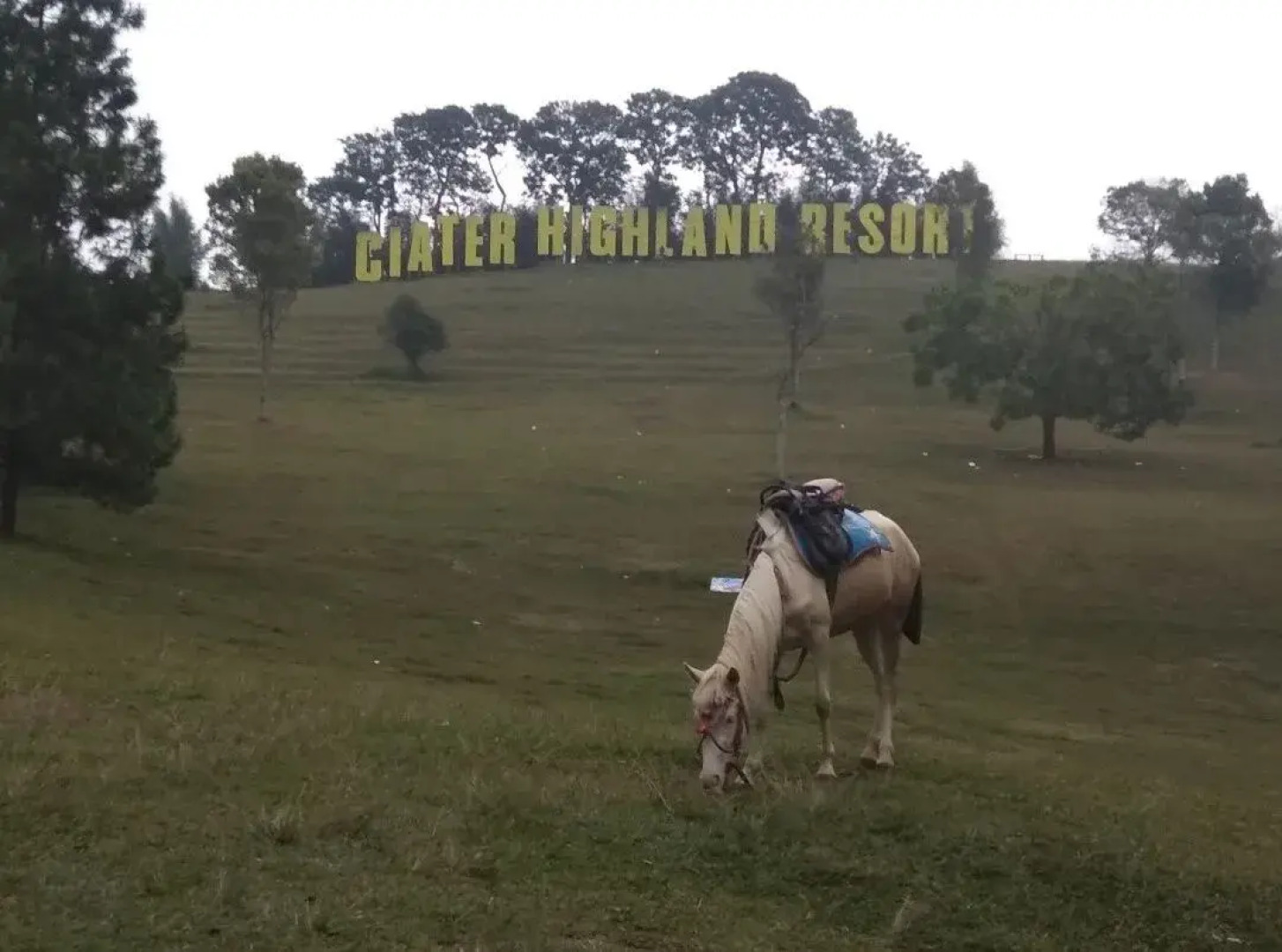 Villa Ranchero 5 - Ciater Highland Resort