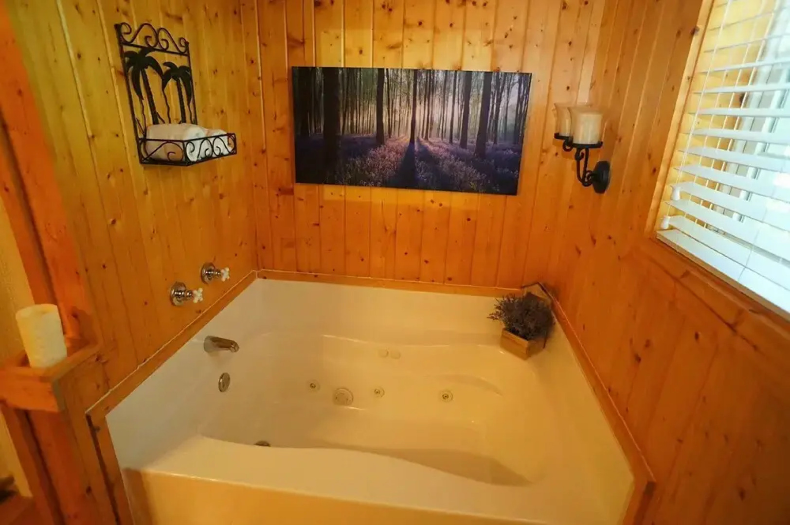 Oasis Cabin at Blairsville 2 Bedrooms 2 Bathrooms Cabin