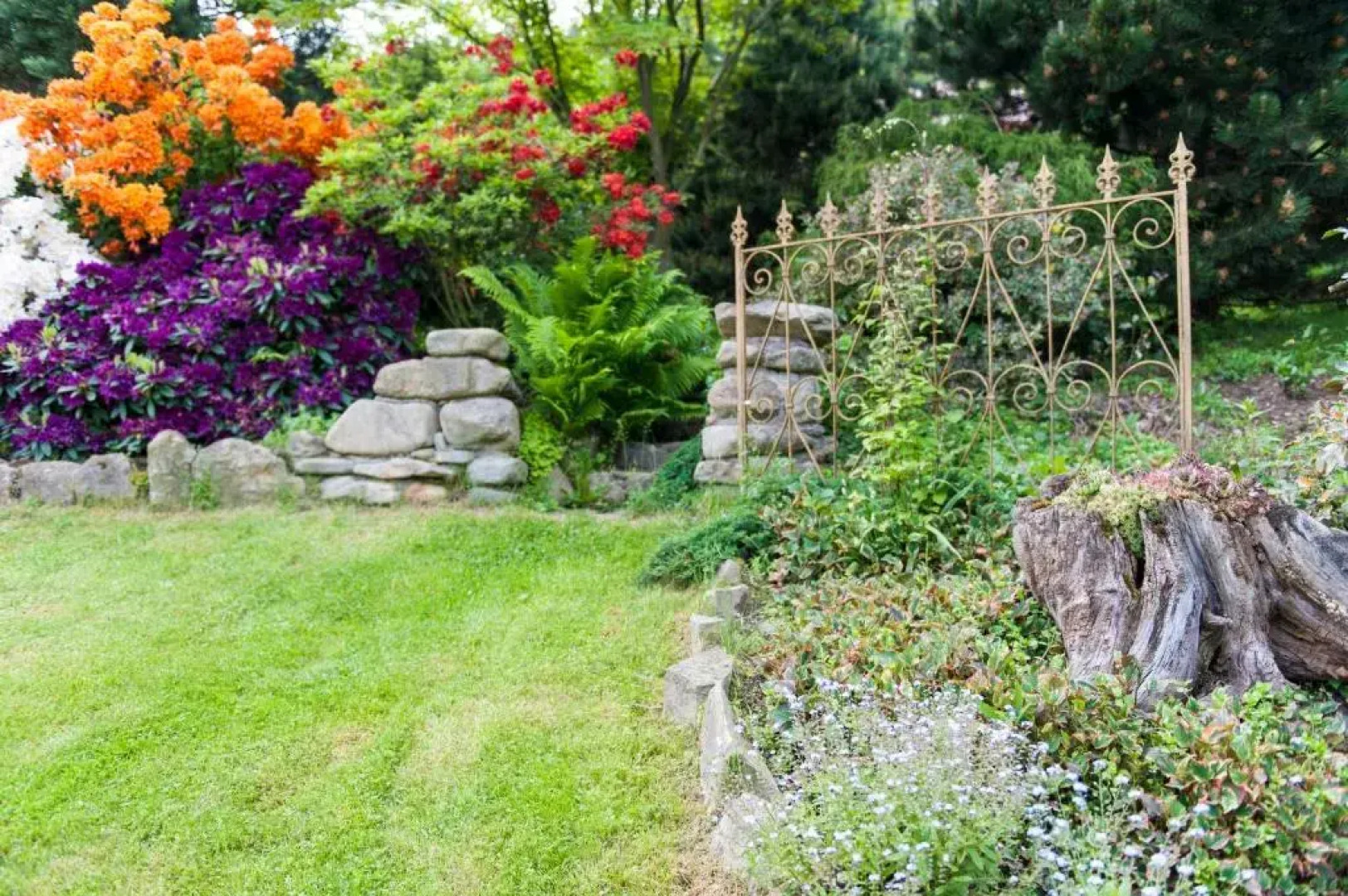 Agroturystyka Wzgorze Magnolii