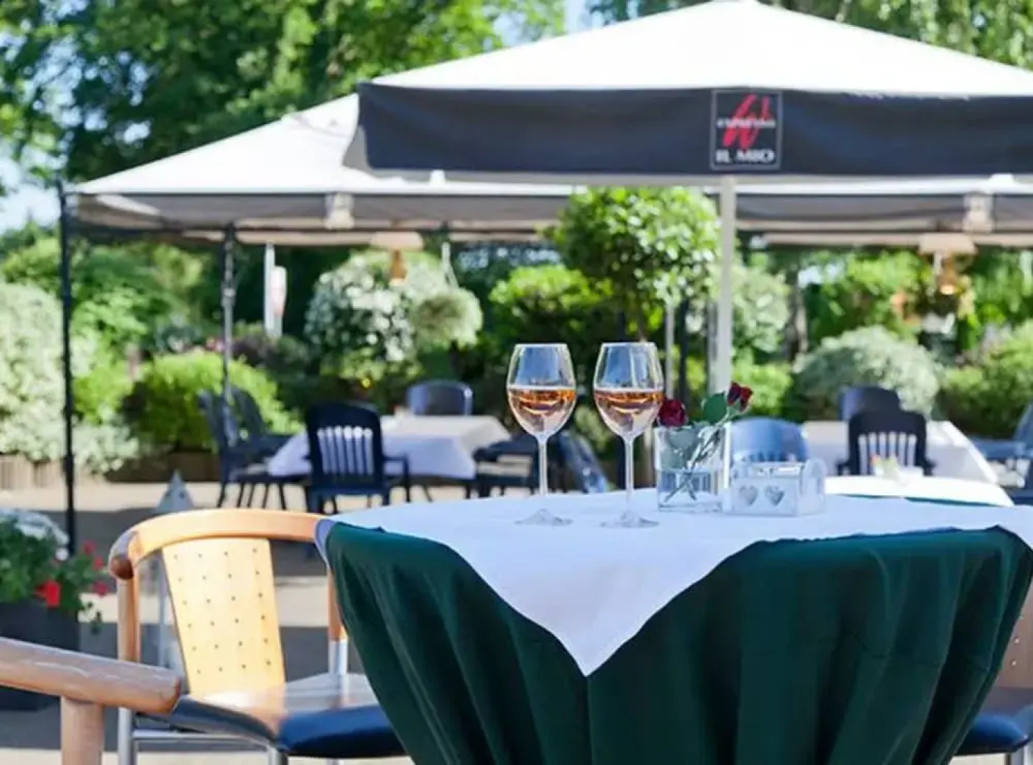 Landgasthaus Hotel Zur Alten Linde