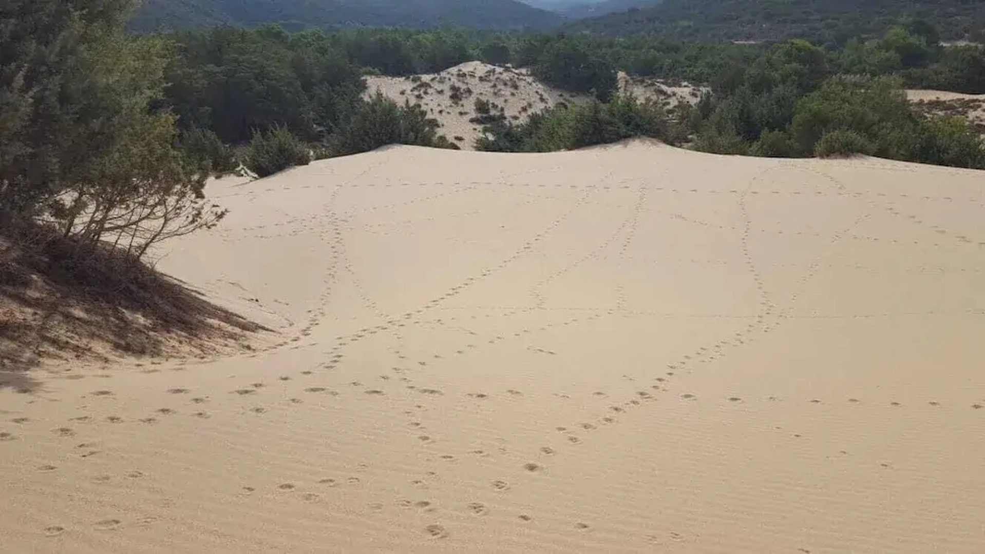 Bed and Breakfast L'Abete